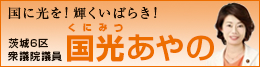 衆議院議員 国光あやの